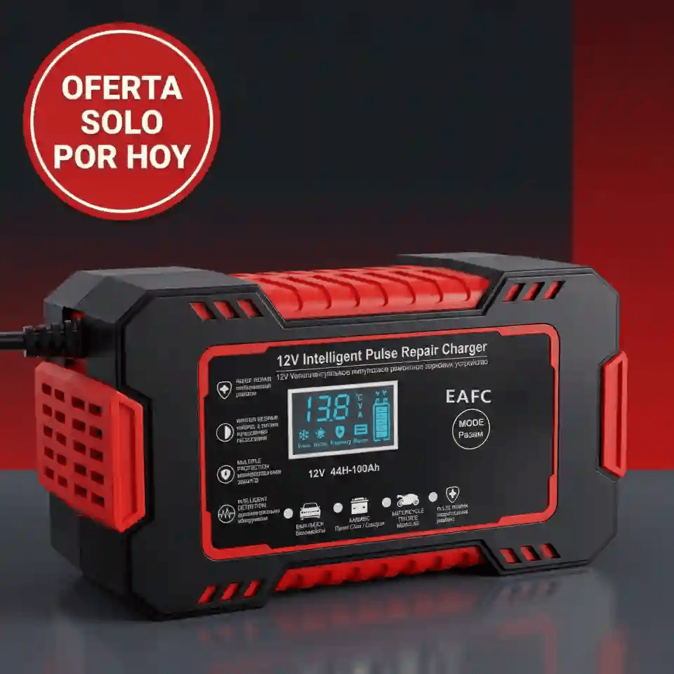 RECARGADOR DE BATERIA PREMIUM