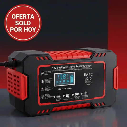 RECARGADOR DE BATERIA PREMIUM